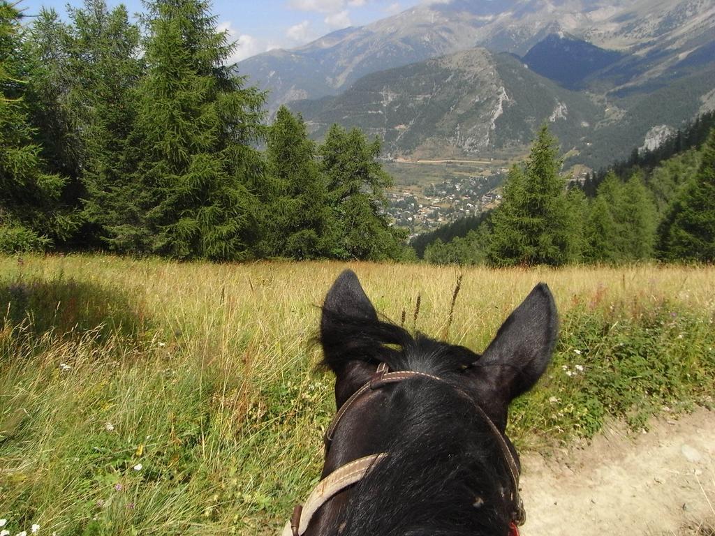발델블로르 Gite Montagne Mercantour 빌라 외부 사진